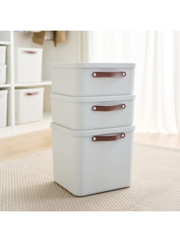 Rotho 2er-Set Kiste mit Deckel Maloja 20l in Mistelweiß