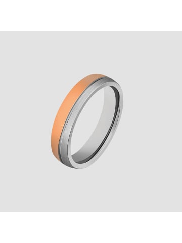 Adeliás Herren Ring aus Edelstahl in silber