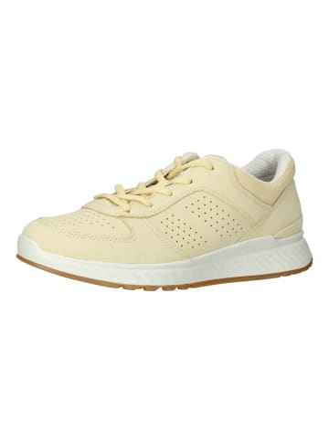 Ecco Sneaker in Beige