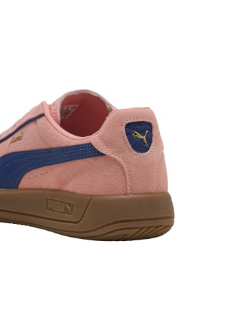 Puma Ledersneaker Club Klassika SD Rose