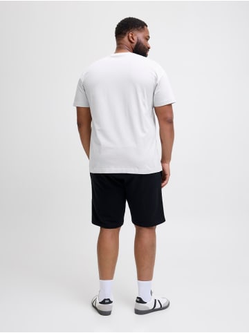 JACK & JONES PLUS T-shirt in Gray Dawn
