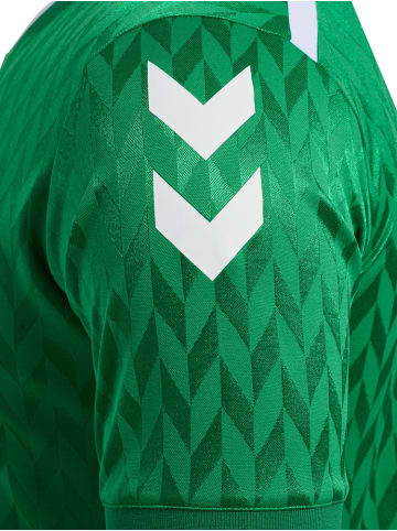 Hummel Sportshirt "Match Legend Jerseys S/S" in Multicolor