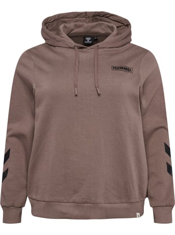 Hummel Hoodie Hmllegacy Regular Hoodie Plus in IRON