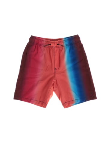 GAP Shorts in Multicolored