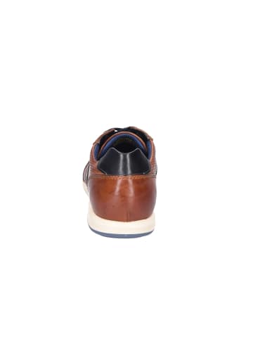 Bugatti Schnürschuh in braun