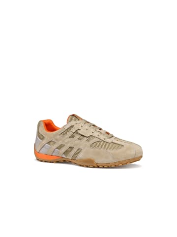 Geox Sneaker in beige