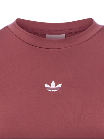 Adidas originals T-Shirt in bordeaux