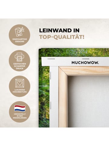 MuchoWow Leinwand bilder Dschungel Wasserfall (BxH)