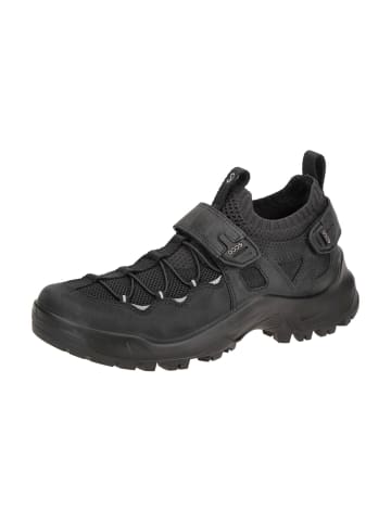 Ecco Wander- & Bergschuhe in Schwarz