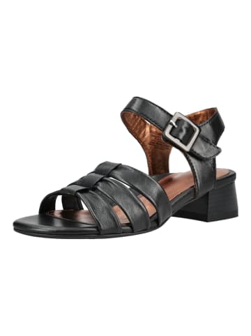 ara Sandalen in Schwarz