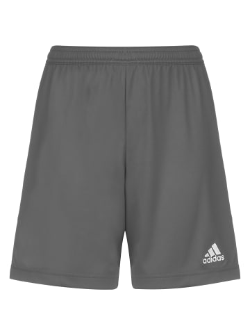 adidas Performance Trainingsshorts Entrada 22 in grau