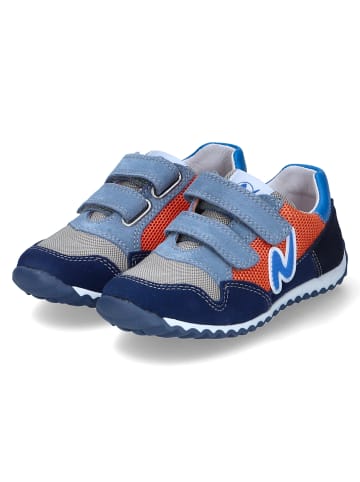 Naturino Low Sneaker SAMMY 2  in Blau