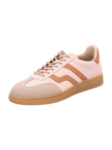 Gant Sneaker Low in Beige