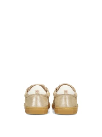 POELMAN PS Poelman MILA Damen Sneaker