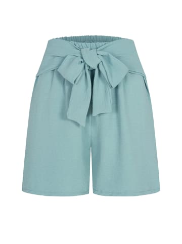 Cloud5ive Cloud5ive Shorts in green