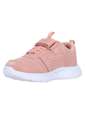 Zigzag Schuhe Kanao in 4099 Misty Rose