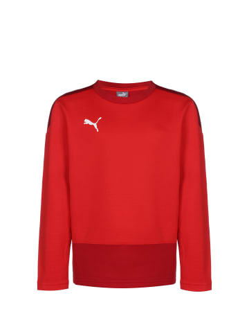 Puma Sweatshirt TeamGOAL 23 in rot / dunkelrot