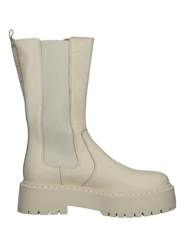 Steve Madden Stiefel in Bone