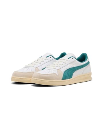 Puma Sneaker "Indoor" in Weiß