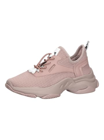 Steve Madden Sneaker in Mauve