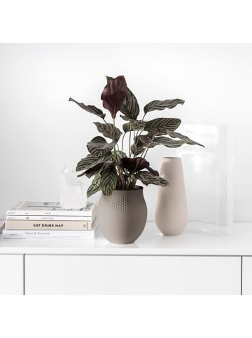 Villeroy & Boch Vase Manufacture Collier in Taupe 18 cm