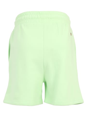 FUBU Shorts - undefined in light green