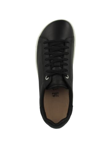 Birkenstock Sneaker low Bend Low Naturleder normal in schwarz