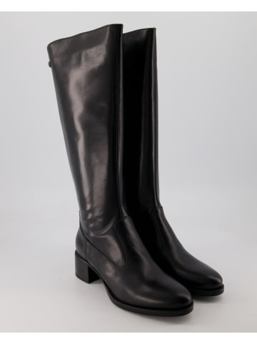 Nero Giardini Stiefel in Schwarz