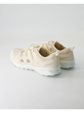 Ecco Sneaker low in Beige