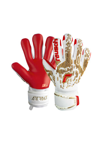 Reusch Torwarthandschuhe Attrakt Freegel Silver Junior in 1011 white/gold/fiery red