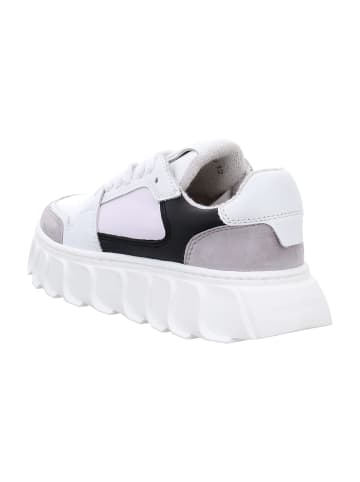 Apple of Eden Sneaker Low in Weiß