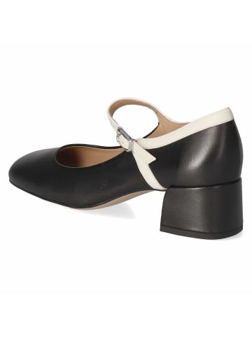 Högl Pumps / Ballerina in schwarz-kombi