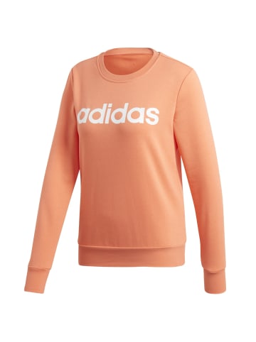 adidas Pullover Rundhals in Rosé
