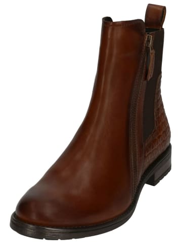 TT. BAGATT Stiefelette in Braun