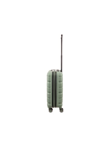 Franky ABS13 55er Trolley Dehnfalte in light green