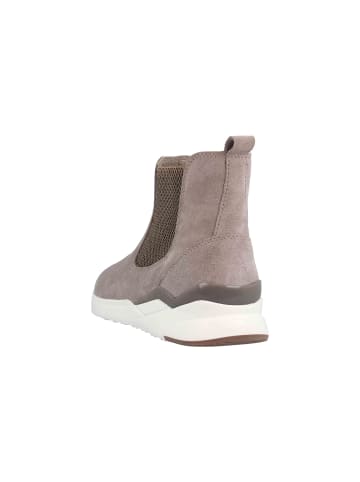 Gabor Stiefeletten in Beige