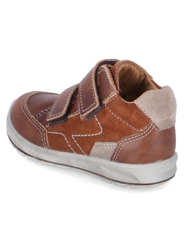 PEPINO High Sneaker ZACK in Braun