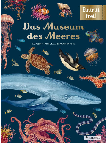 Prestel Verlag Das Museum des Meeres | Eintritt frei! - Sachbilderbuch im Großformat für...