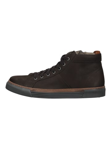 Pius Gabor Sneaker in Mocca