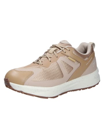 Joya Schnürschuh VELOCE STX W BEIGE II in beige