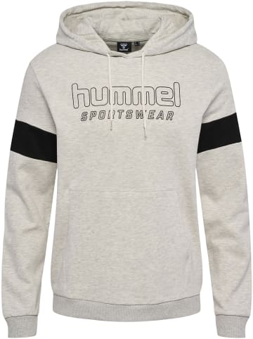 Hummel Hoodie Hmllgc Bryce Hoodie in TOFU MELANGE