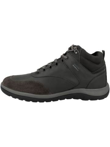 Geox Sneaker mid U Antelao B WPF B in braun