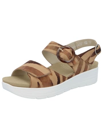 Solidus Sandale Greta-Weite G in ZEBRA camel