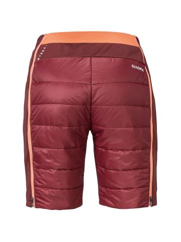 Maloja W THERMO SHORTS SCHLERN in Bordeaux