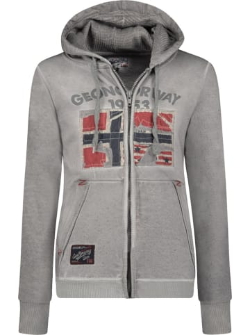 Geographical Norway Hoodie "Gotz Men 100 Eo +Bs" in Grau