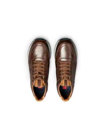LLOYD Sneaker für Herren in dunkel-braun
