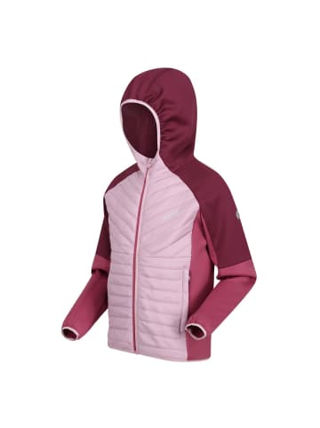 Regatta Hybrid Softshelljacke Kielder V in Pink