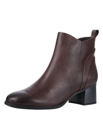 Marco Tozzi Stiefelette in BORDEAUX