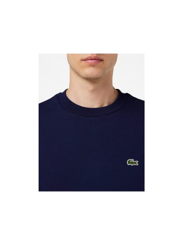 Lacoste Sweatshirts in blau