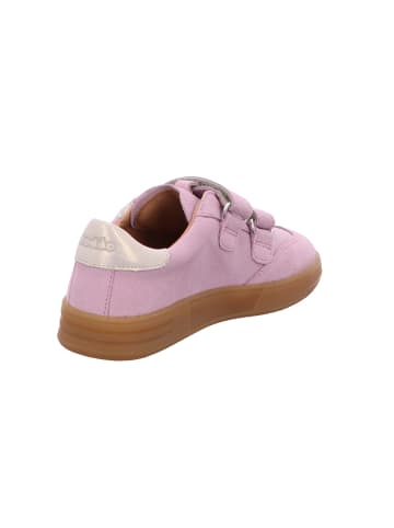 Froddo Schnürschuh in pink